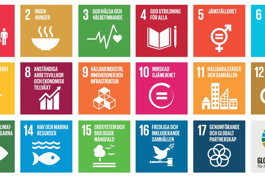 UN's Sustainable Development Goals